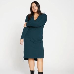 Universal Standard Tesino Long sleeve Dress